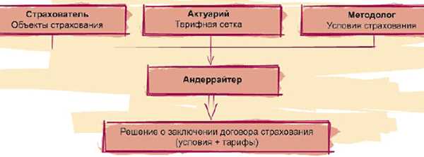 Аквизиционные расходы в страховании: что это и как их оптимизировать