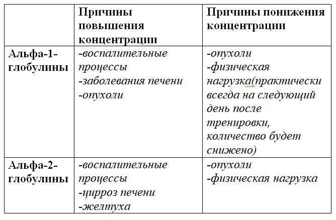 Альбумин-глобулиновое соотношение понижено: причины и значения