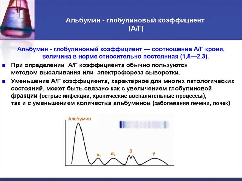 Клиническое значение пониженного альбумин-глобулинового соотношения