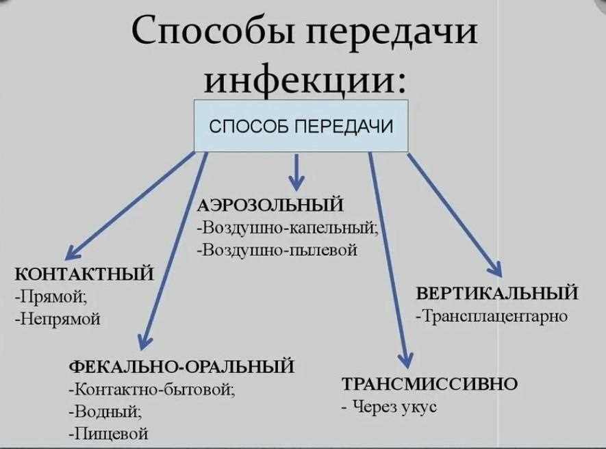 Что такое алиментарный путь передачи?