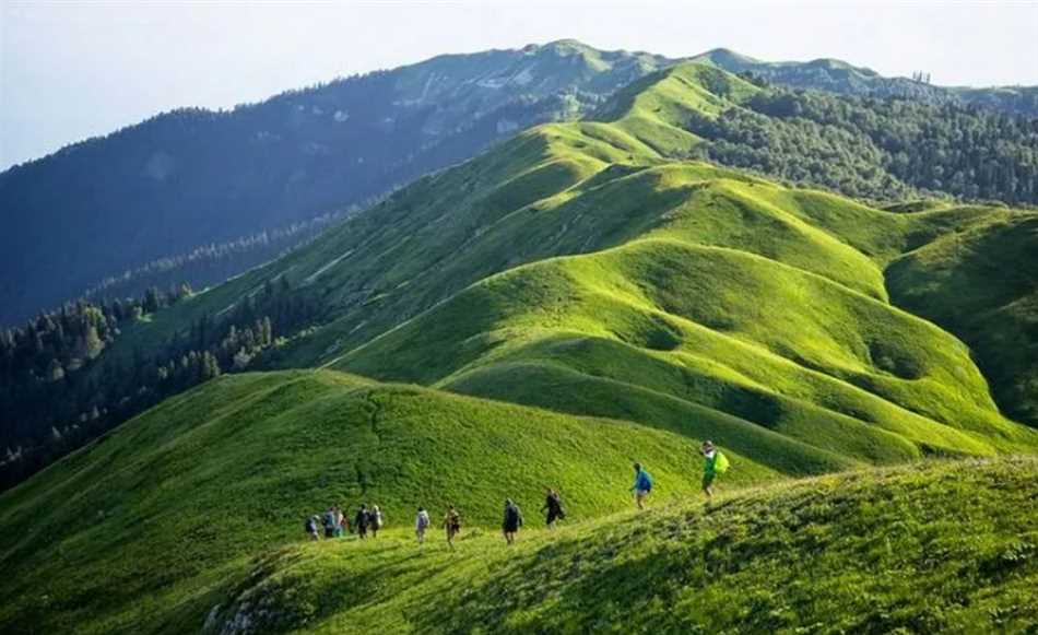 Распространение и местоположение альпийских луг