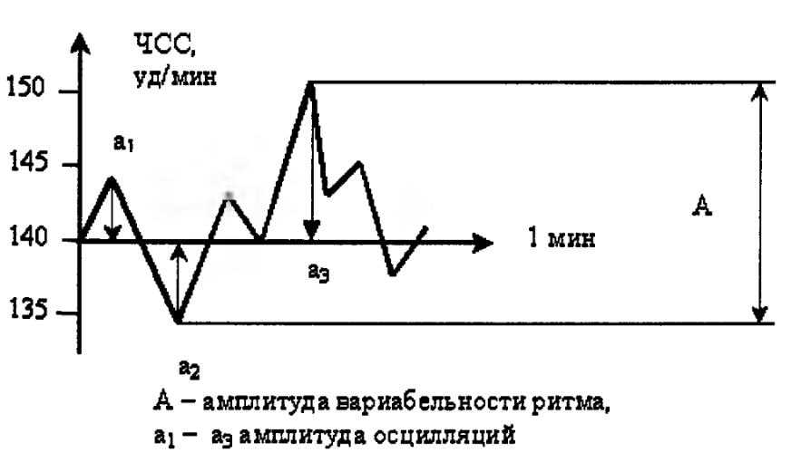 Амплитуда осцилляций КТГ: что это?