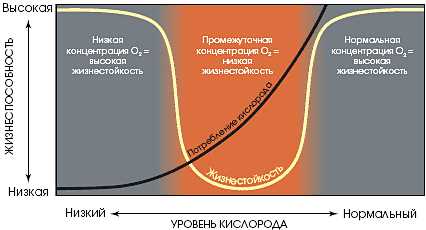 Определение анабиоза