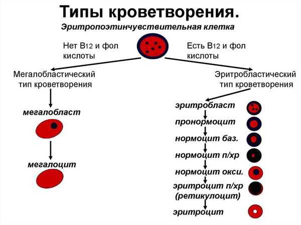 Инструментальные исследования