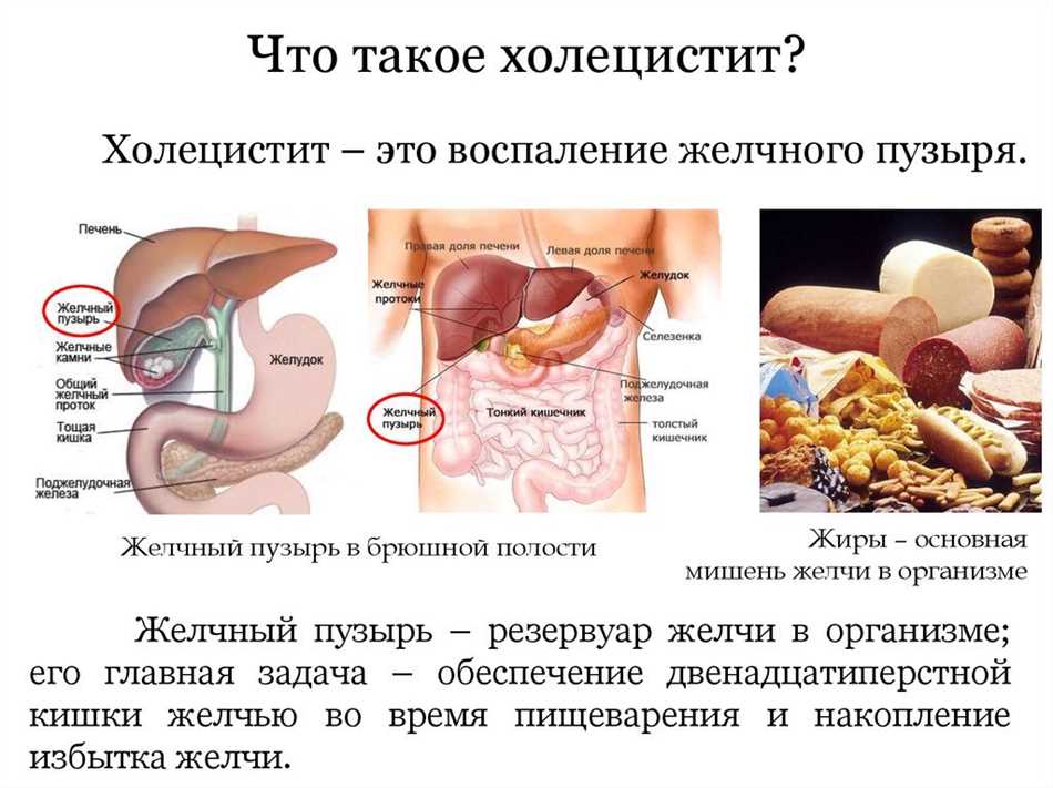 1. Жировая дегенерация печени