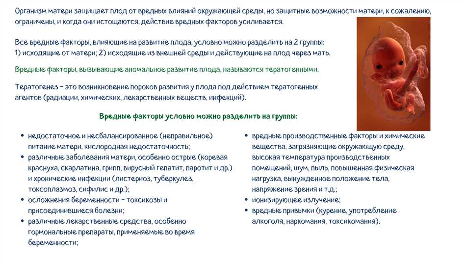 4. Рациональное питание и физическая активность