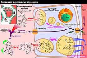 Повышенный стресс и эмоциональное напряжение