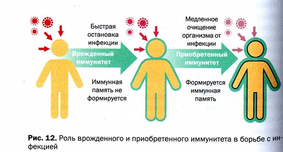 Принцип работы вакцин против токсинов