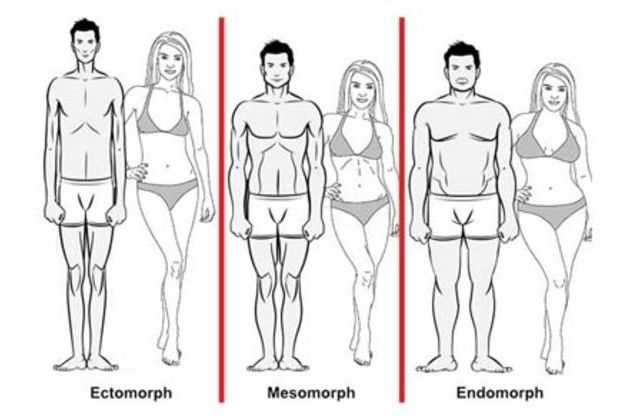 Определение астенического телосложения