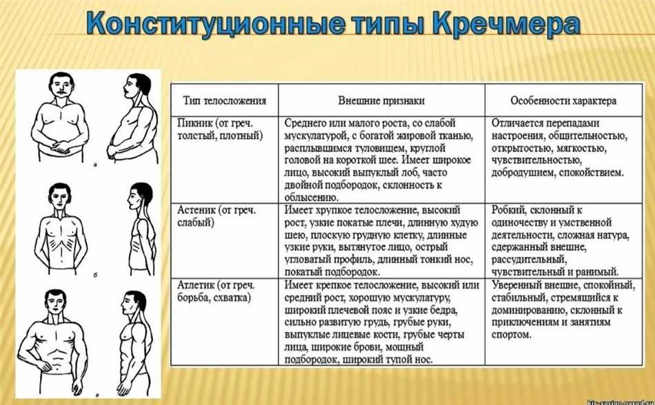 5. Питание и тренировки