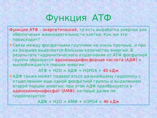 Что такое АТФ?