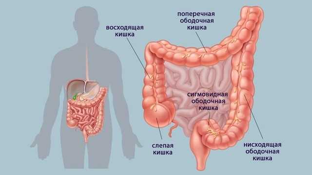 1. Ослабленный иммунитет