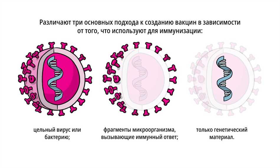 Аттенуированная вакцина: эффективная защита организма