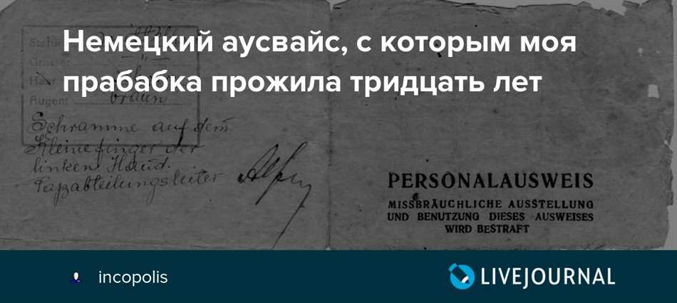 Аусвайс – что это такое в Германии: перевод, описание, назначение