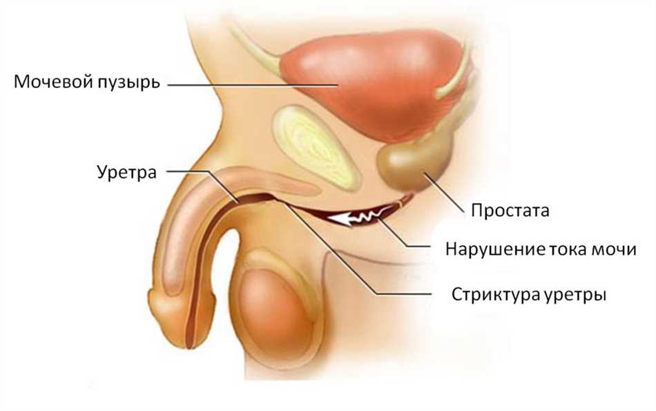 Последствия употребления барбитуратов для мужчин