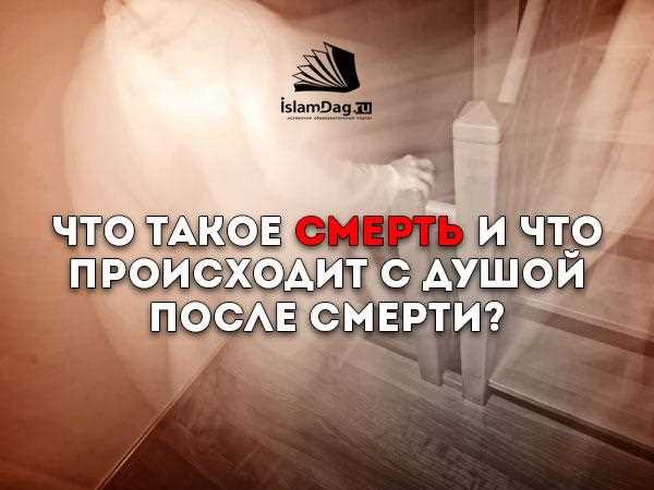 Определение и происхождение понятия 