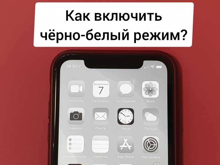 Что делать, если экран iPhone стал черно-белым?