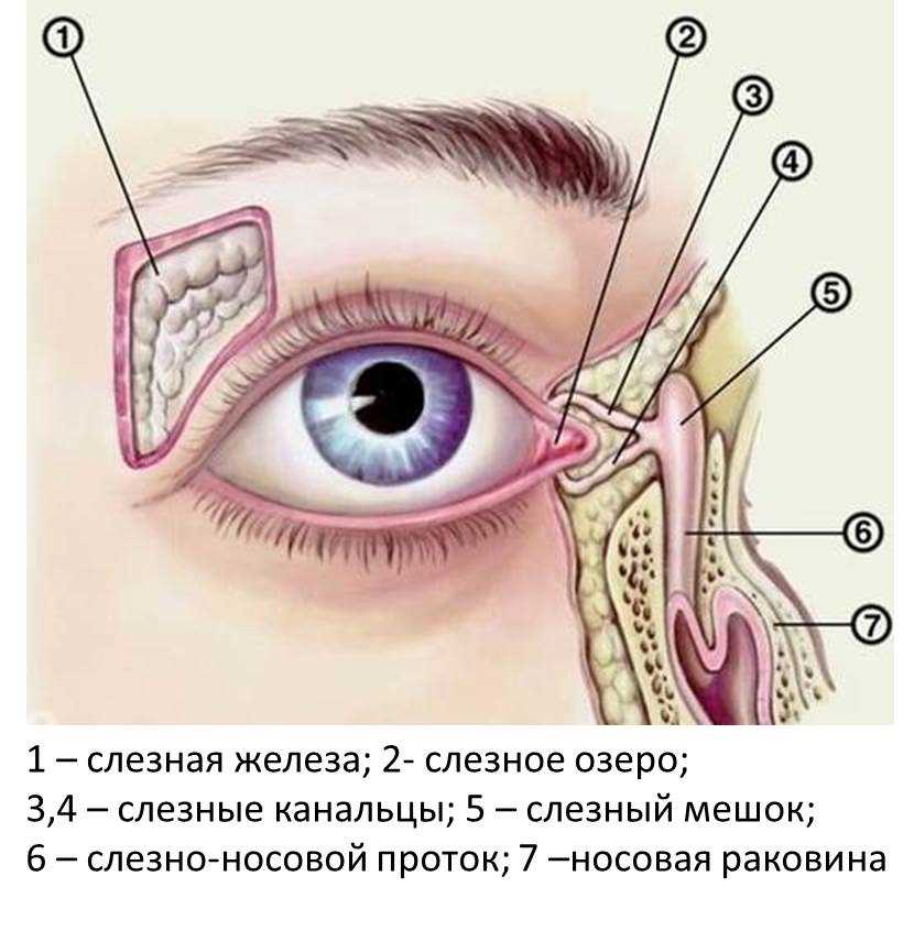 Раздел 7: Психологическое и социальное воздействие слез на рейве