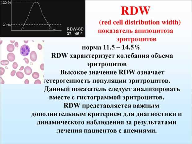 Индекс распределения эритроцитов Rdw Sd