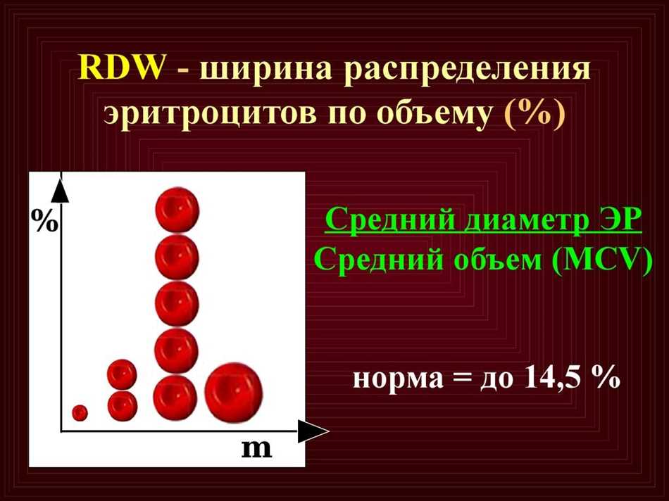 Что такое индекс распределения эритроцитов Rdw Sd