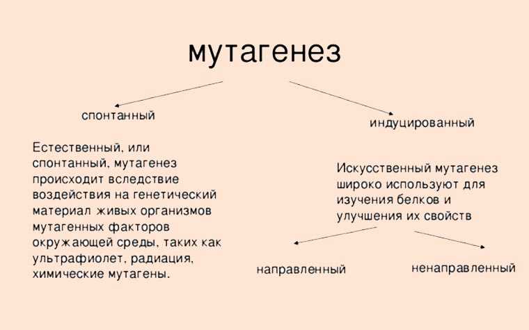 Риски и последствия индуцированного мутагенеза