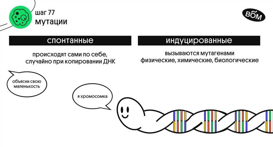 Что такое индуцированный мутагенез