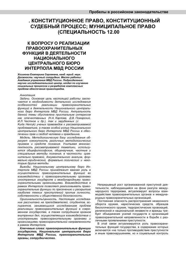 Что такое Интерпол в России: особенности и функции