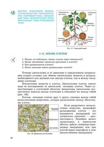 Что такое искусственная мацерация