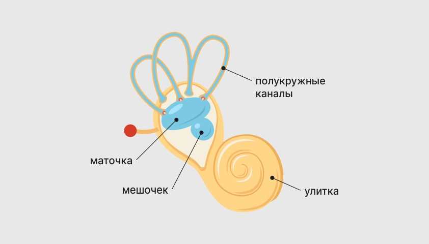 Причины возникновения вертиго