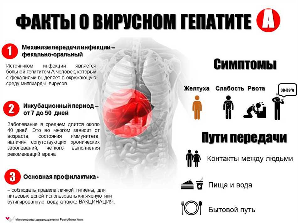 Что такое источники инфекции