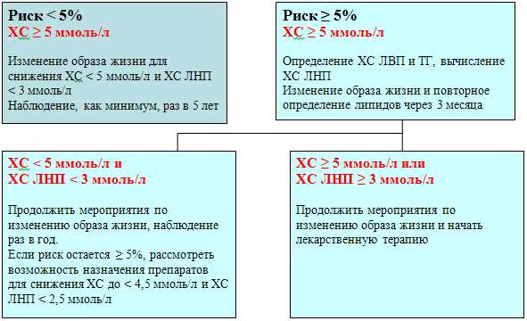 Факторы, влияющие на кардиоваскулярный риск