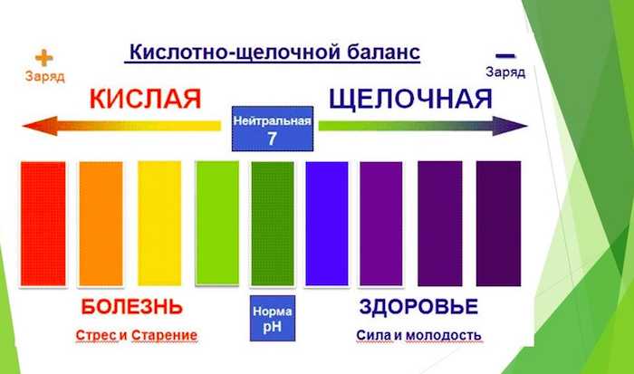 Работа рН в организме