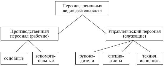 3. Специальность и навыки