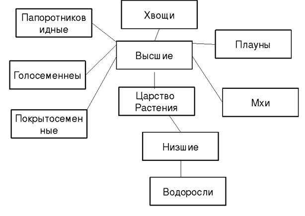 Что такое классификация растений 6 класс