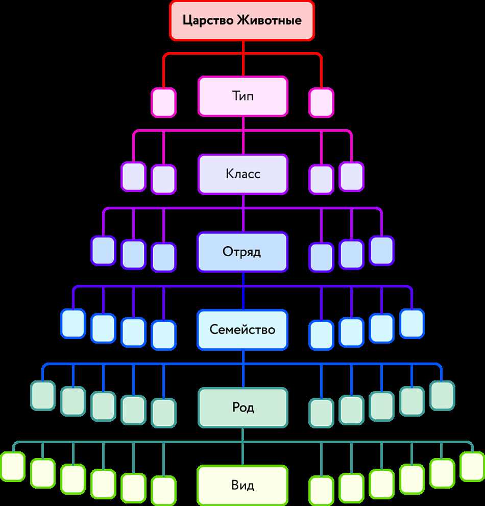 Классификация животных