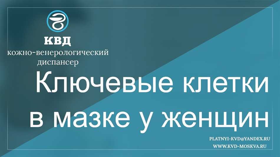 Процесс формирования ключевых клеток в мазке