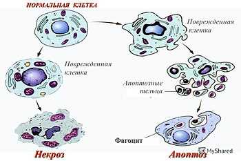 Влияние температуры на коагуляцию