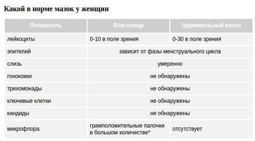 Понятие кокков в мазке