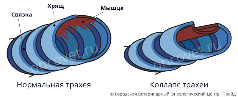 Чувство эмоционального и физического истощения