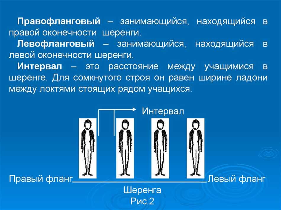 Виды колонн в физкультуре