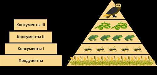 Что такое консументы в биологии