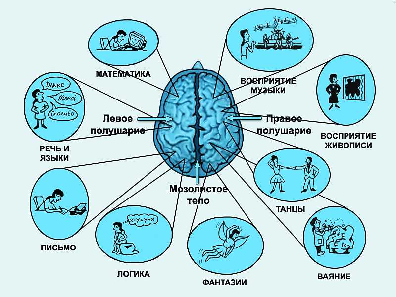 Что такое координация движений?