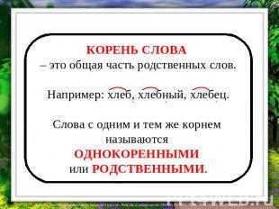 Воздушные корни