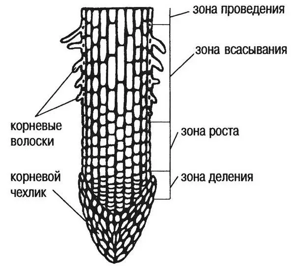 Заключение