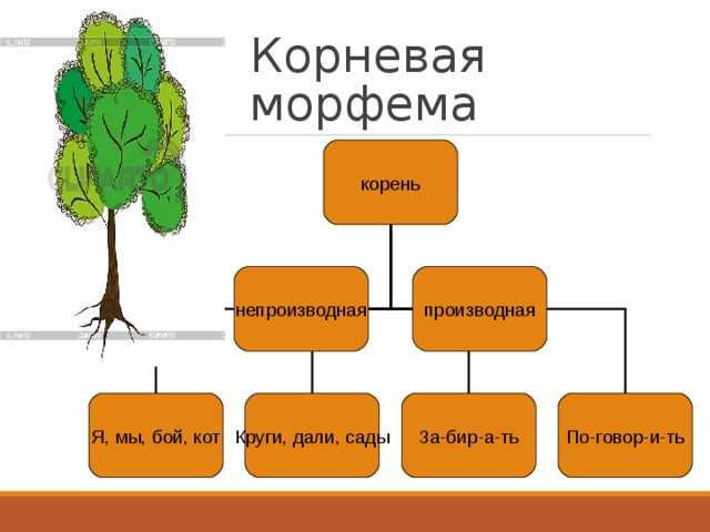 Раздел 2. Роль корневой морфемы в словообразовании