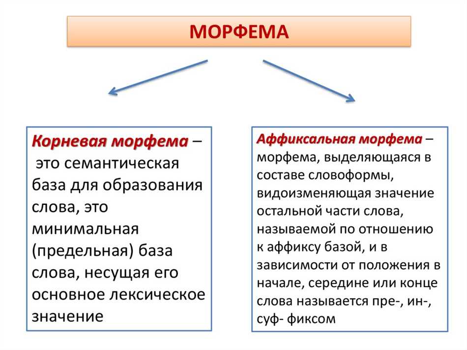 Что такое корневая морфема