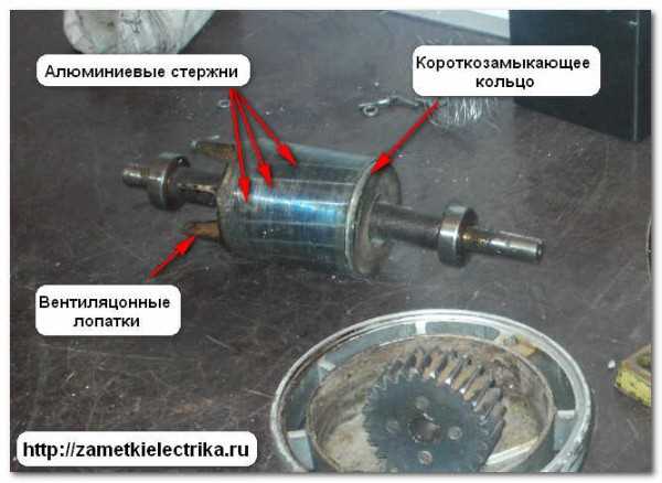 Короткозамкнутый ротор: основные характеристики и принцип работы