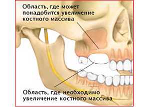 Функции костной ткани