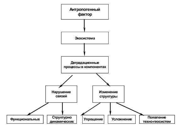 Какие факторы влияют на процессы косвенного воздействия?