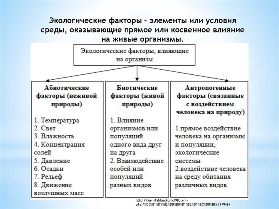 Примеры прямого и косвенного воздействия. Прямое воздействие. Прямое и косвенное влияние. Факторы косвенного и прямого воздействия различие между ними. Прямые и косвенные эффекты экономической эффективности.